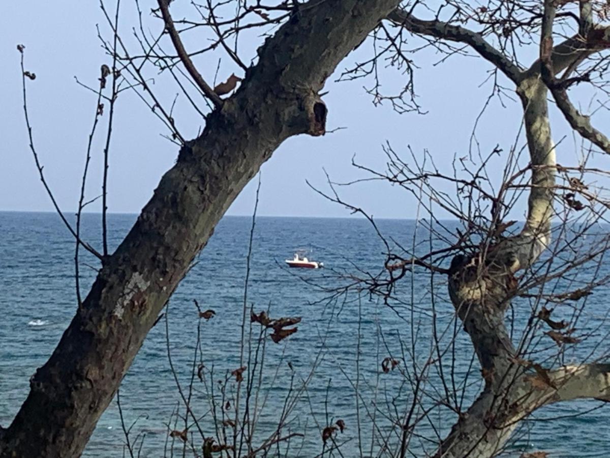 Όμορφος χώρος μέσα στο πράσινο με θέα στο Αιγαίο Βίλα Τσαγκαράδα Εξωτερικό φωτογραφία
