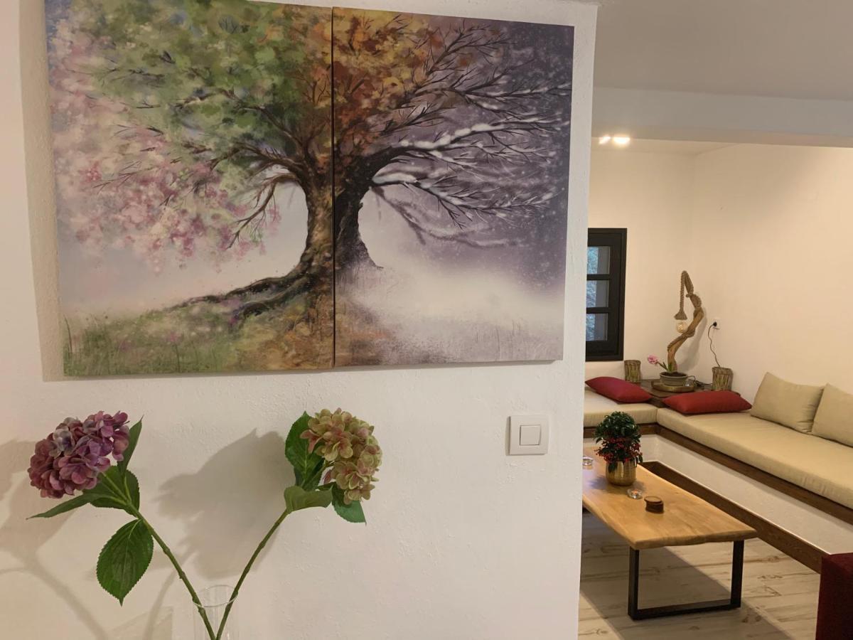Όμορφος χώρος μέσα στο πράσινο με θέα στο Αιγαίο Βίλα Τσαγκαράδα Εξωτερικό φωτογραφία