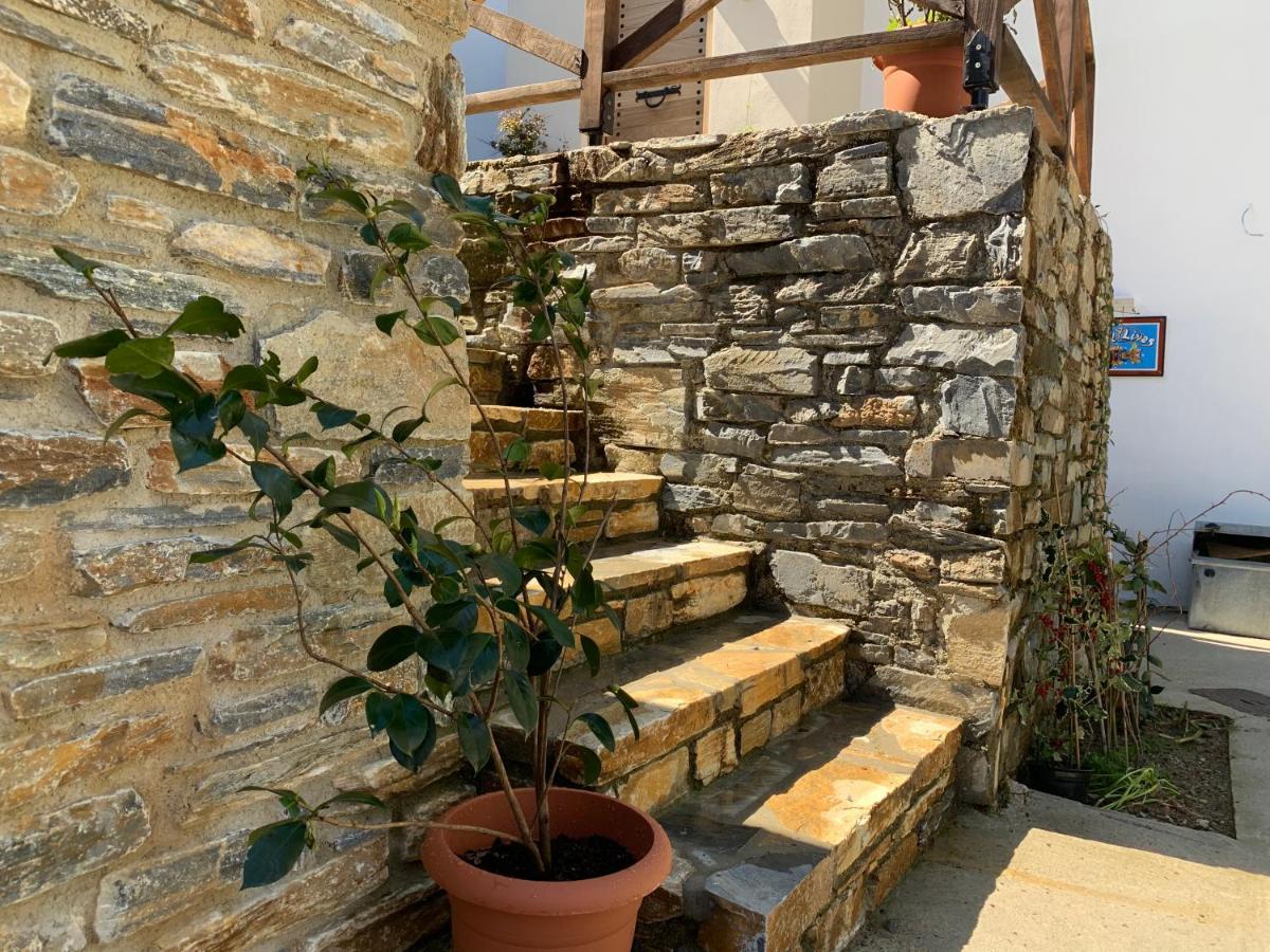 Όμορφος χώρος μέσα στο πράσινο με θέα στο Αιγαίο Βίλα Τσαγκαράδα Εξωτερικό φωτογραφία