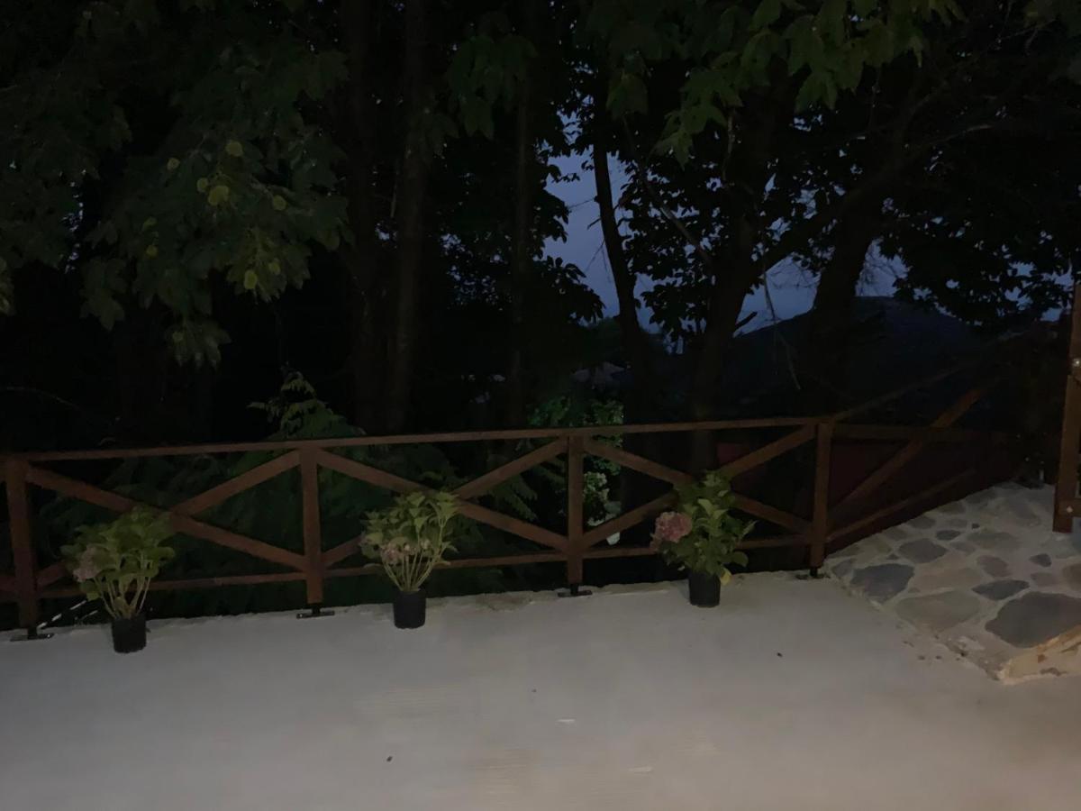 Όμορφος χώρος μέσα στο πράσινο με θέα στο Αιγαίο Βίλα Τσαγκαράδα Εξωτερικό φωτογραφία