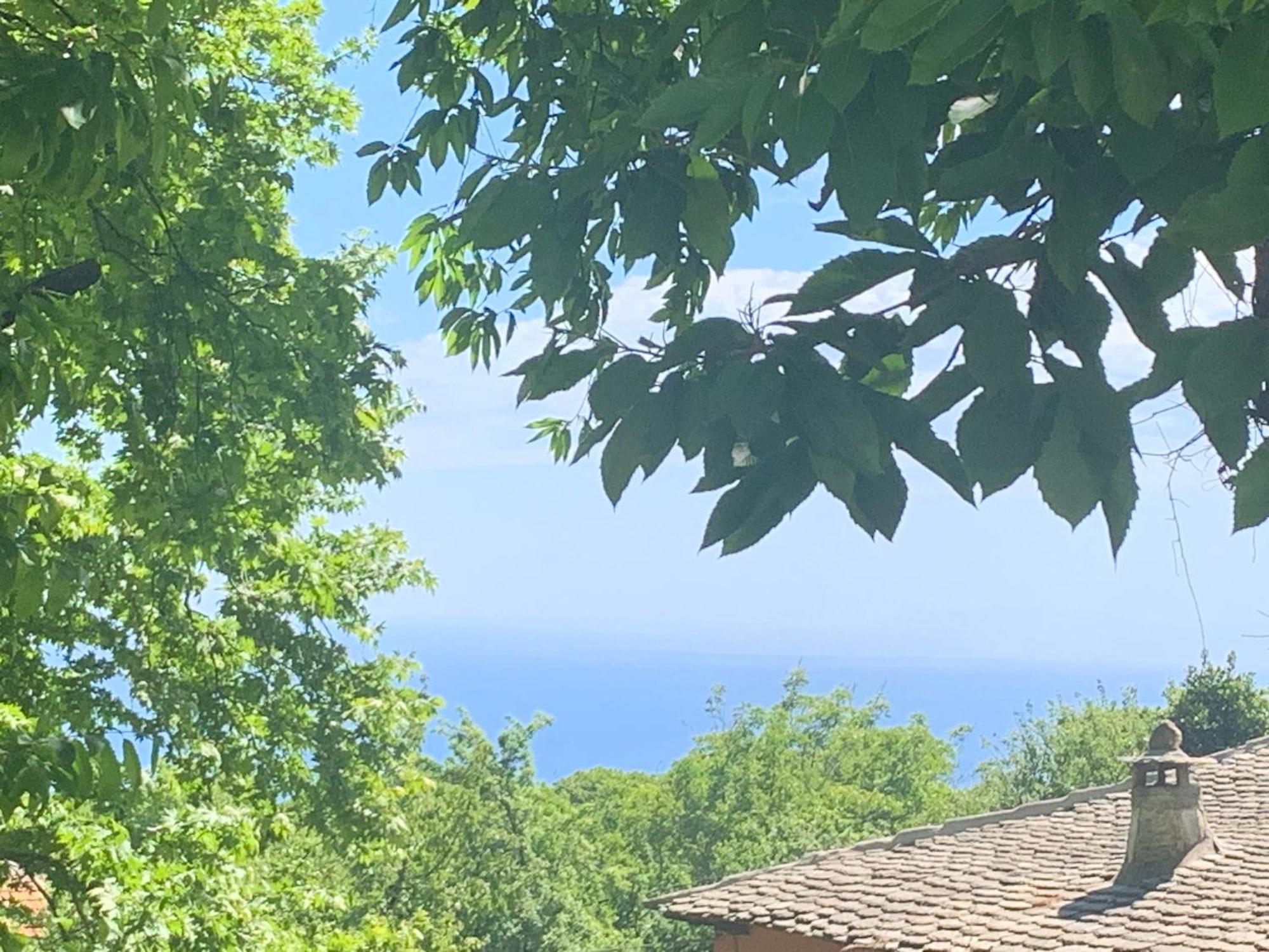 Όμορφος χώρος μέσα στο πράσινο με θέα στο Αιγαίο Βίλα Τσαγκαράδα Εξωτερικό φωτογραφία